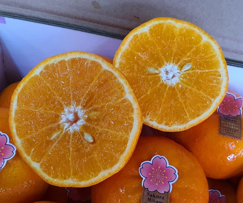 Sakura Mikan mandarin orange - 20 pcs gift box