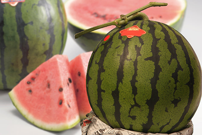 Japanese Mini Watermelon Seasonal Luxury Fruit