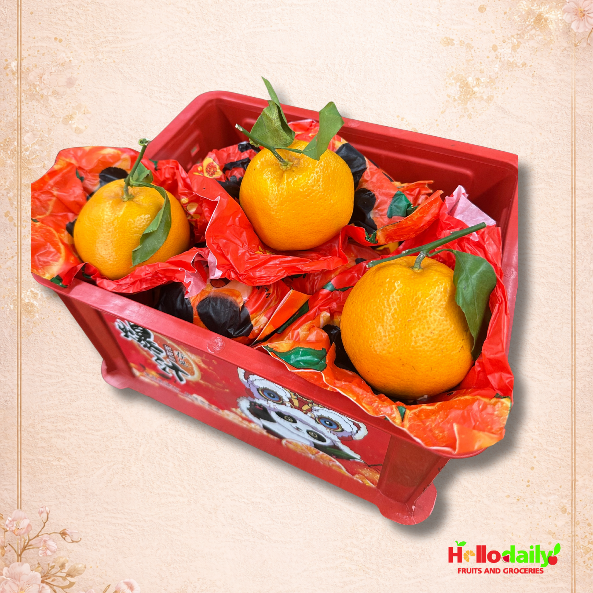 papagan mandarin oranege