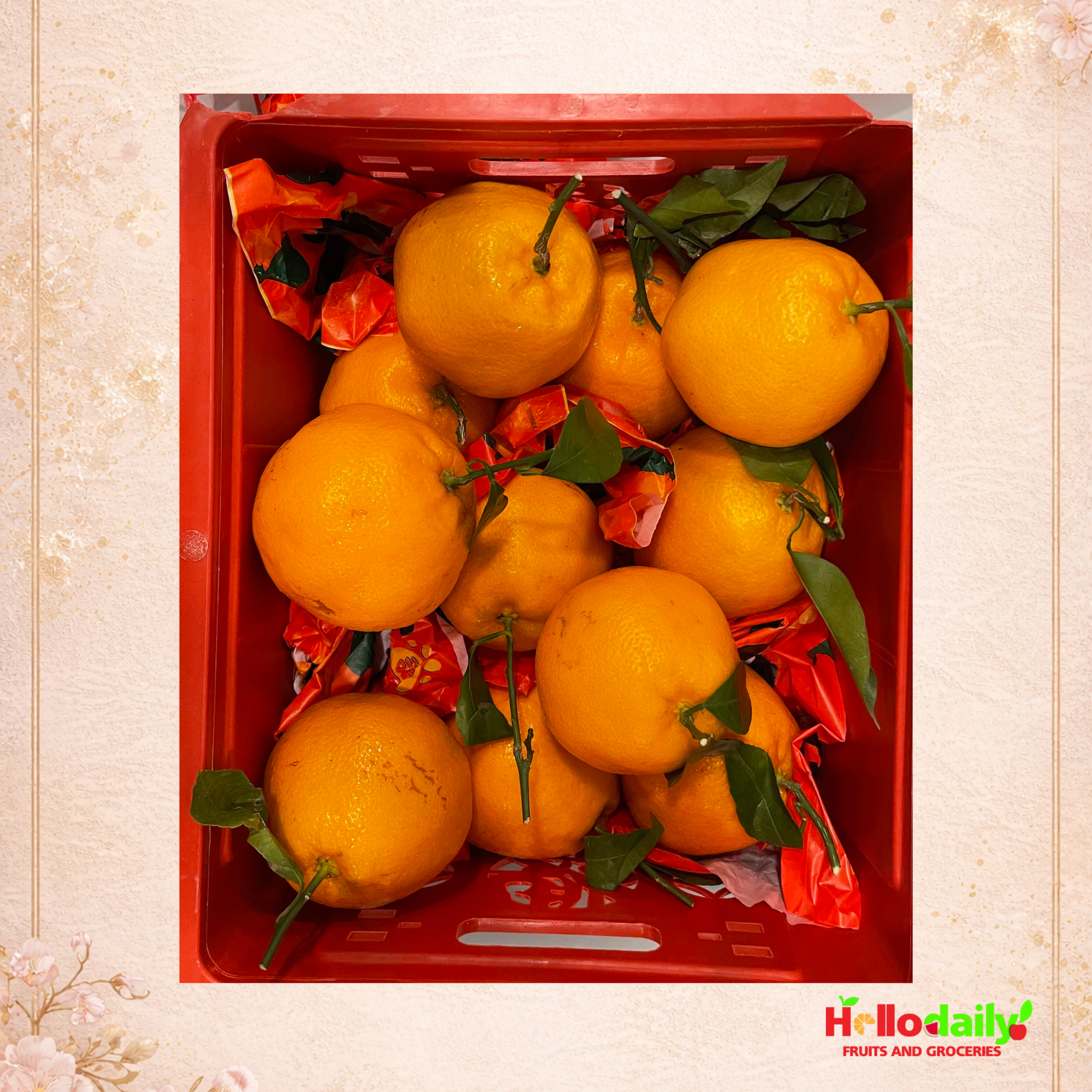 Papagam Orange Gift Box  (春见耙耙柑) - 2KG / 11PCs