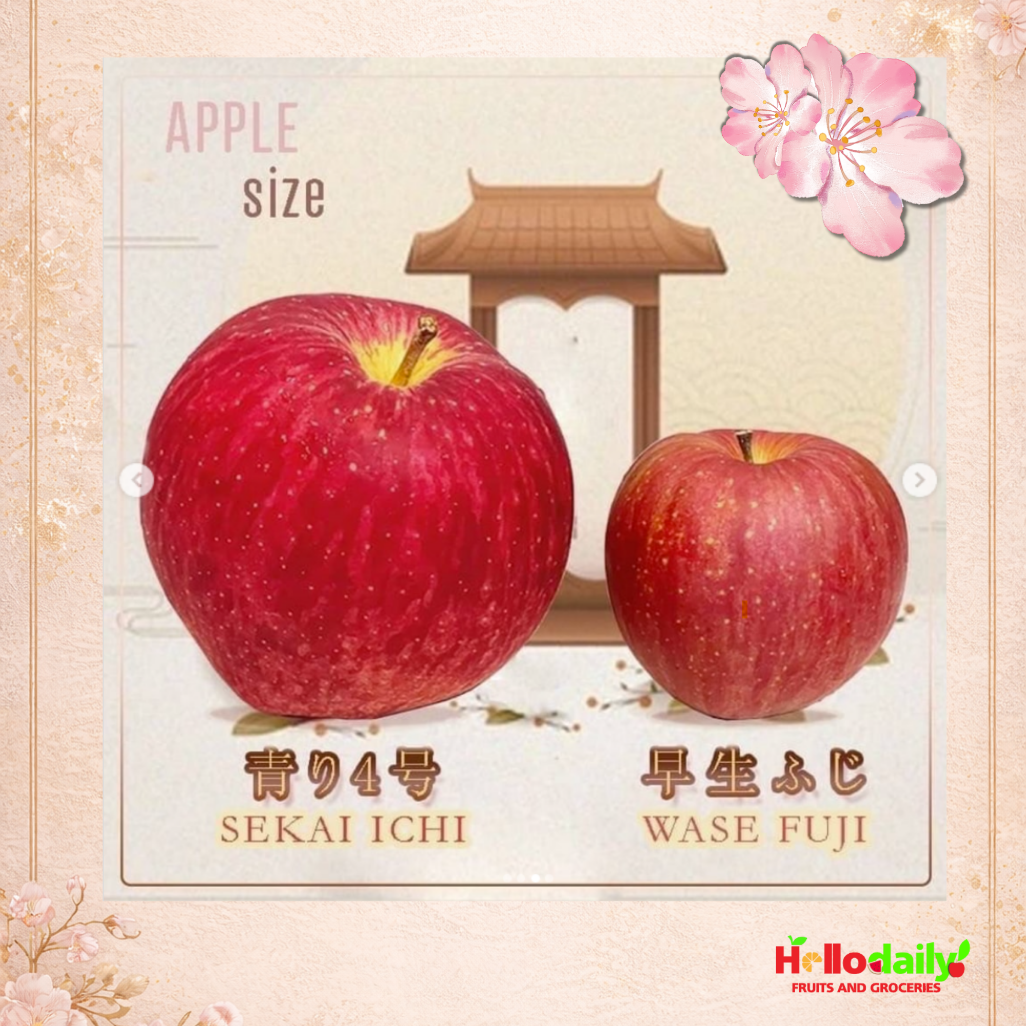 Sekaiichi apple
