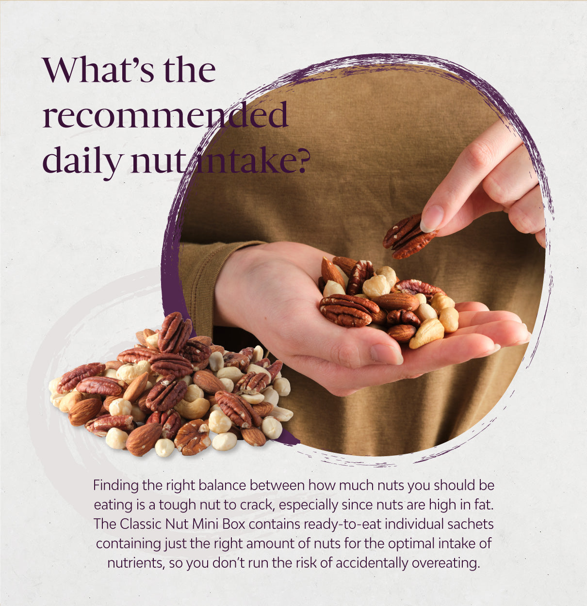 Classic Nut Mix Daily Pack