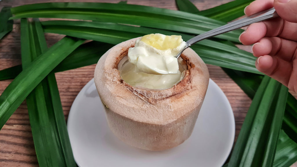 Coconut Pudding – Fresh Chilled Dessert Cup