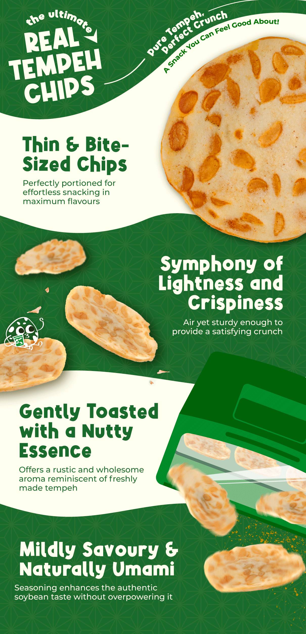 Real Tempeh Chips (100g)