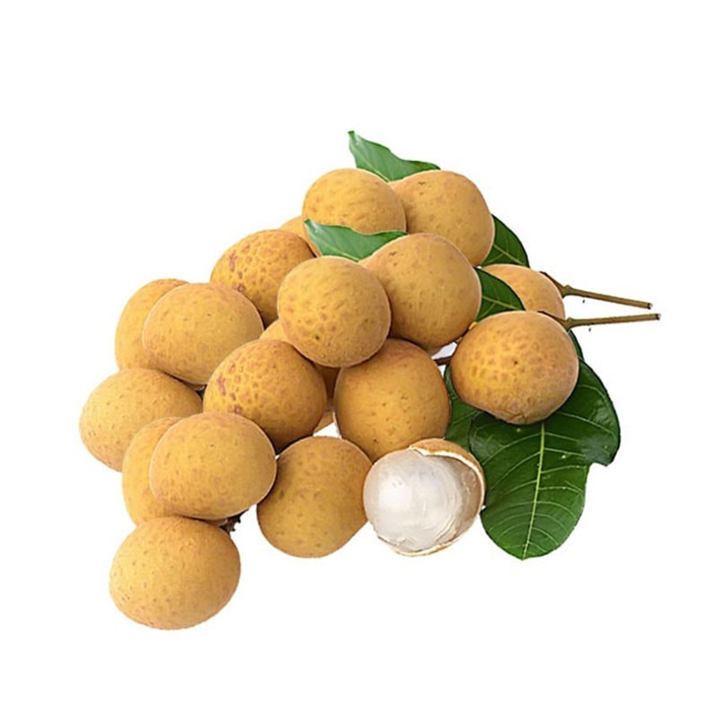 THAILAND · Fresh Longan (Premium Grade)