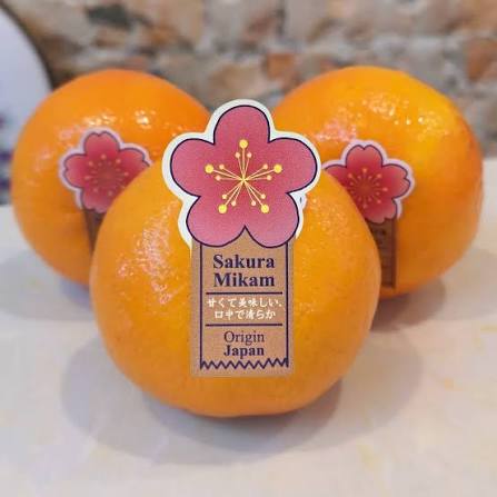 Sakura Mikan mandarin orange – Hello Daily - Premium Fruits & Hampers