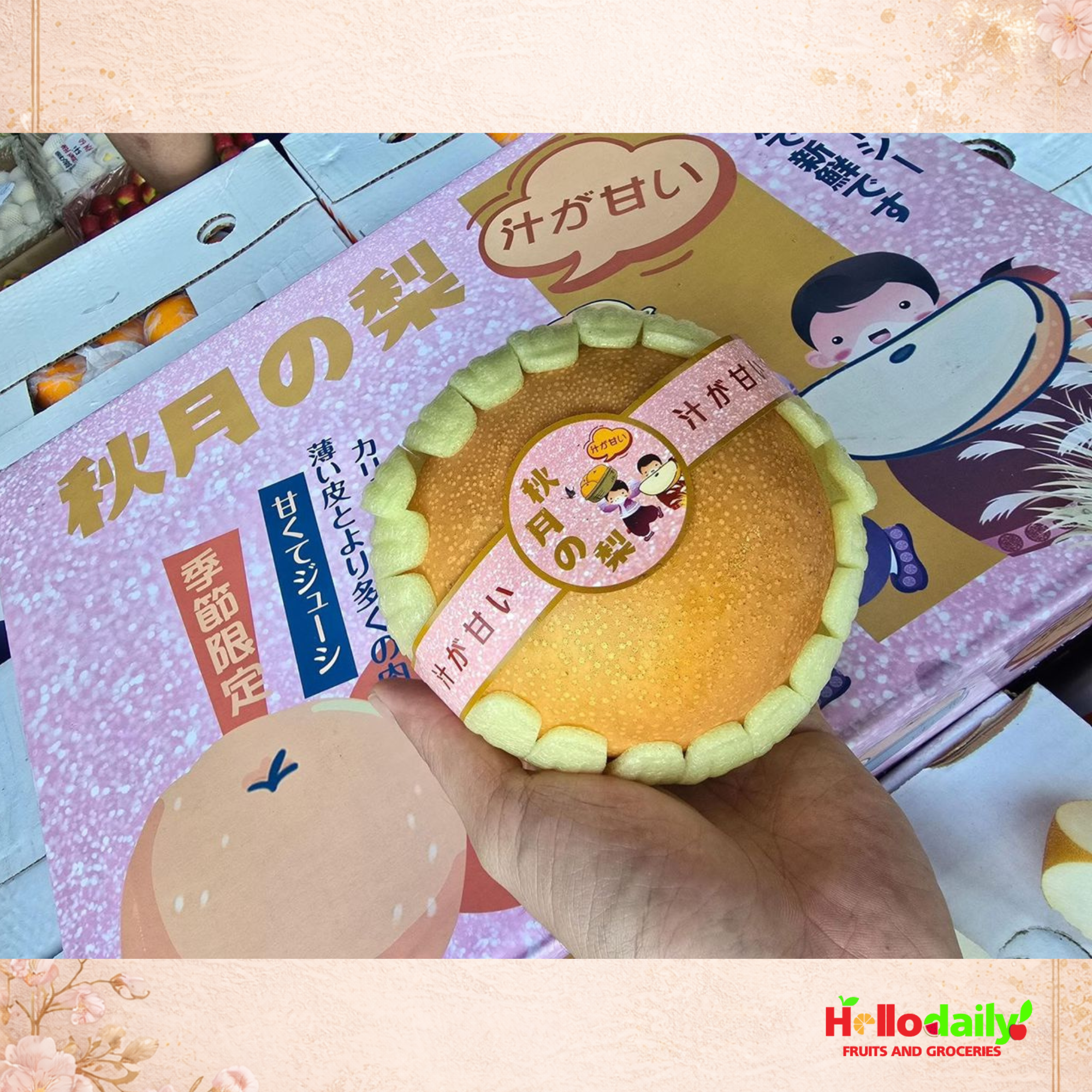 🍐 AUTUMN MOON KOREAN PEAR (秋月梨) – PREMIUM GIFT BOX (XL)