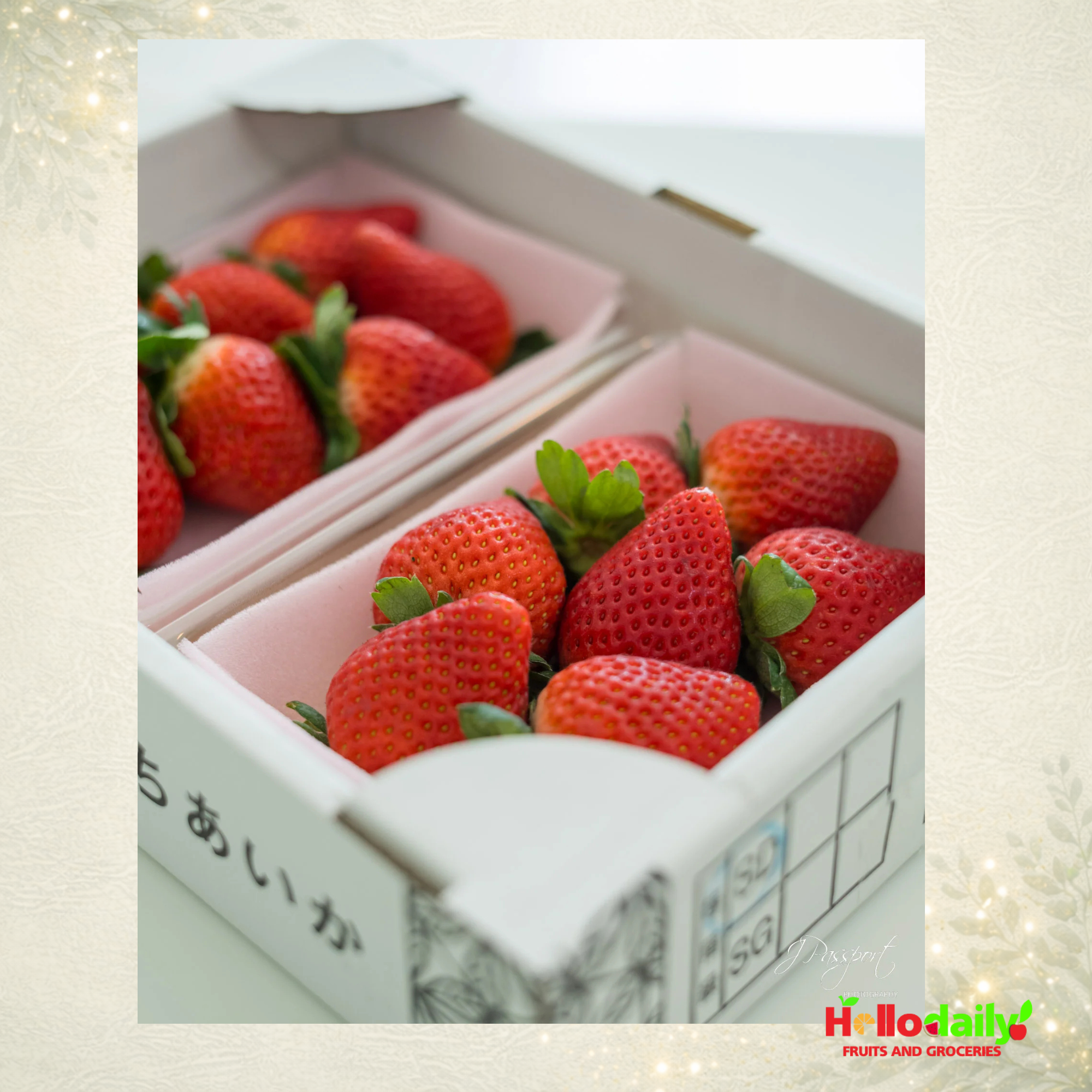 Japanese Tochiaika Strawberries Air-Flown Luxury Gift Box (250g × 2 Packs)