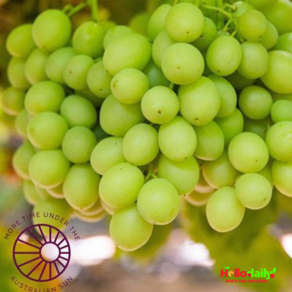 Cordoma Australian Grapes - 500g