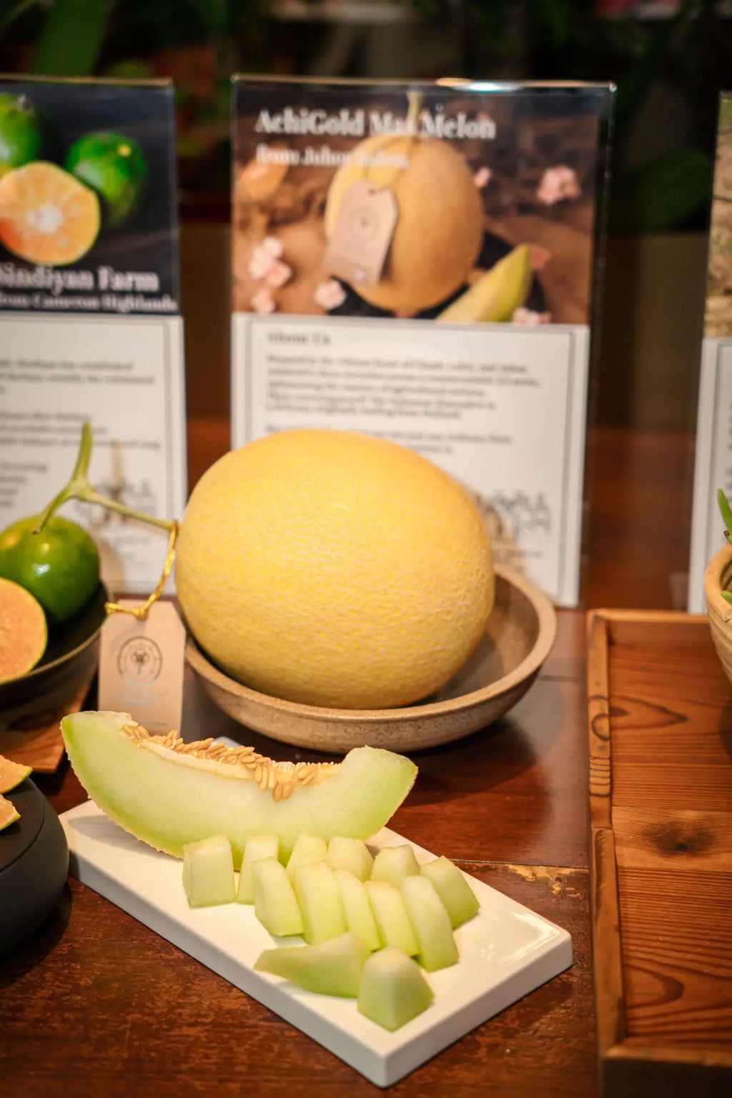 Achi Gold Mas Melon One Plant, One Fruit – Premium Japanese Variety