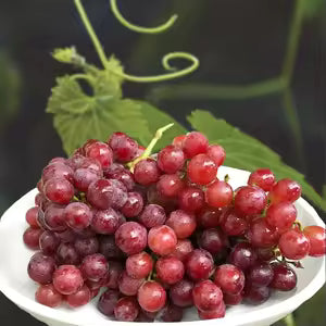 AUSTRALIA · Red Sweet Globe Grapes (500g)