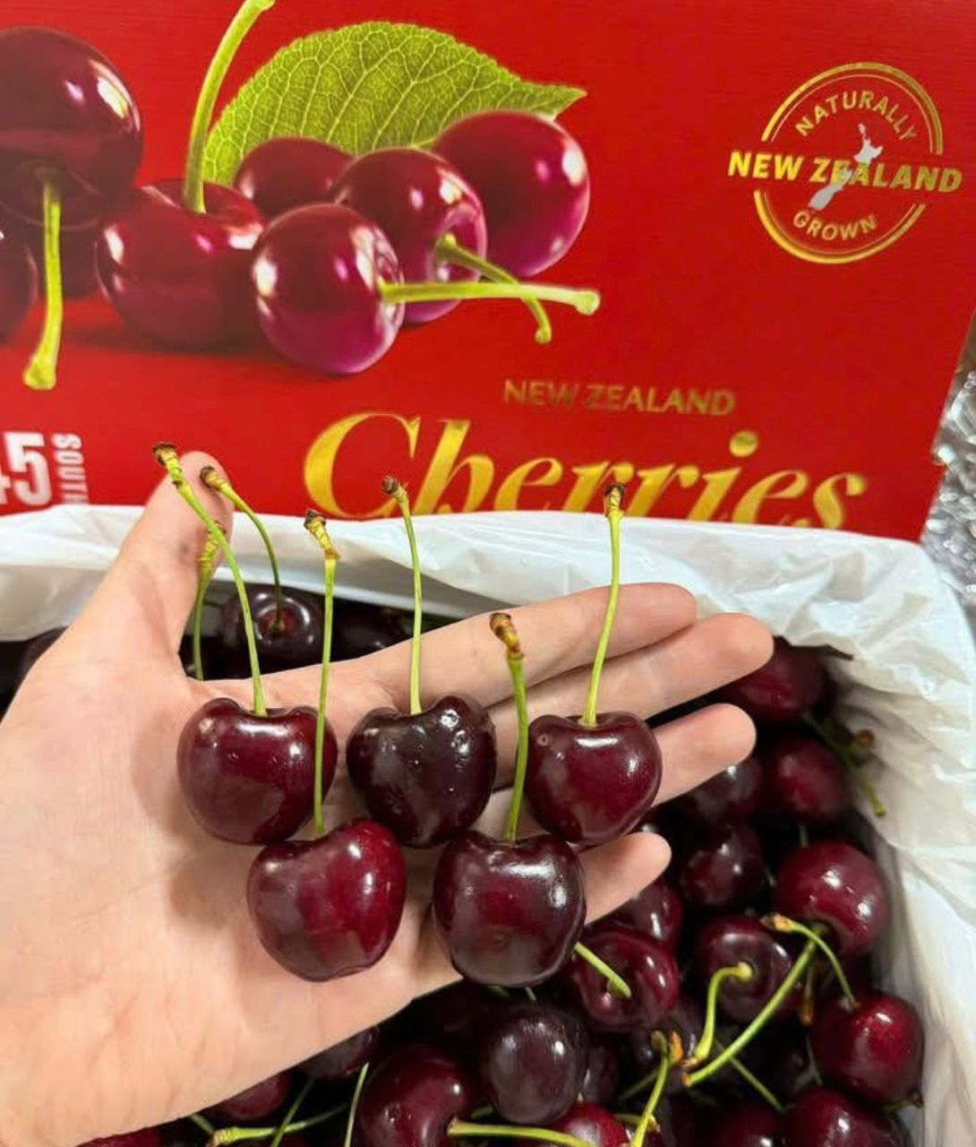 New Zealand Premium Cherry - Gift Box Cherries [1.5KG]